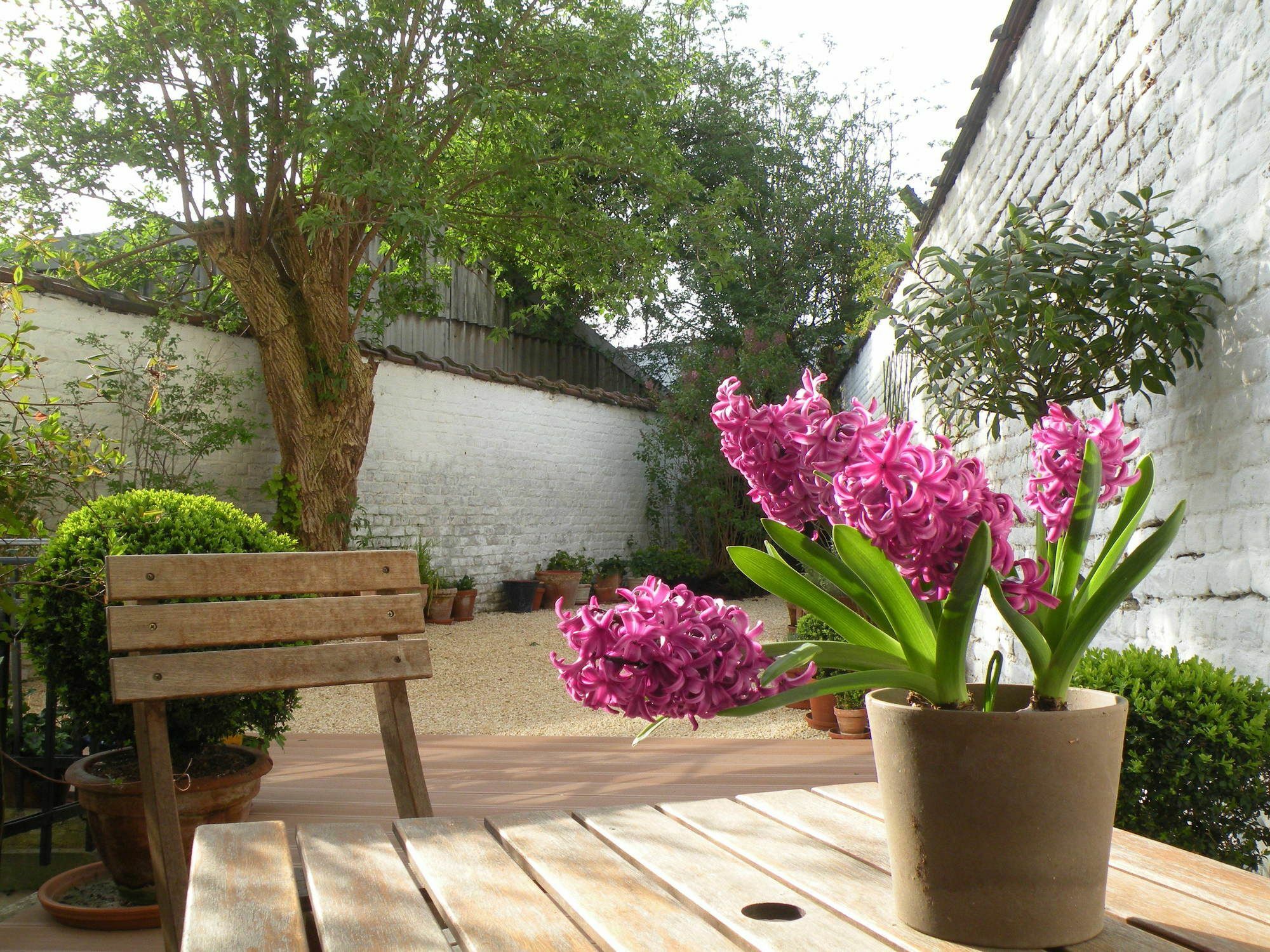 B&B Living In Brusel, Urban B&B Etterbeek Eksteriør billede